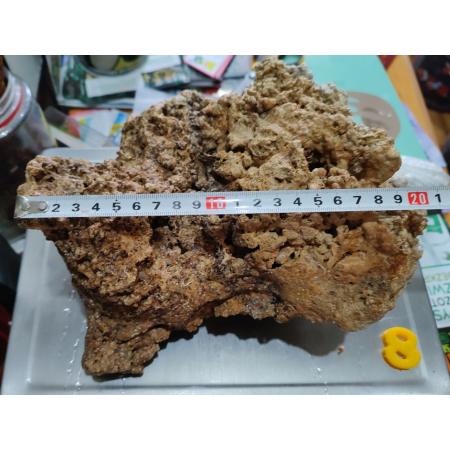 Żywa skała do akwarium morskiego - bryła nr. 8